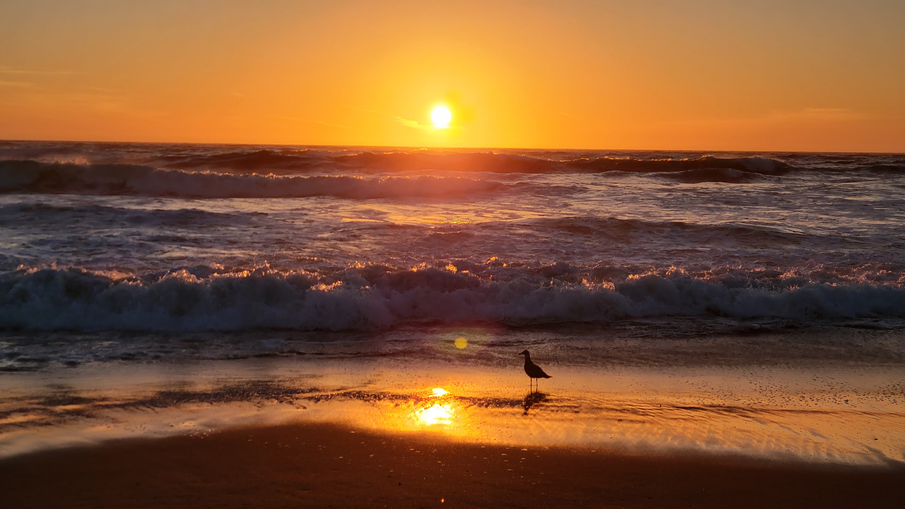 Ocean Beach 1