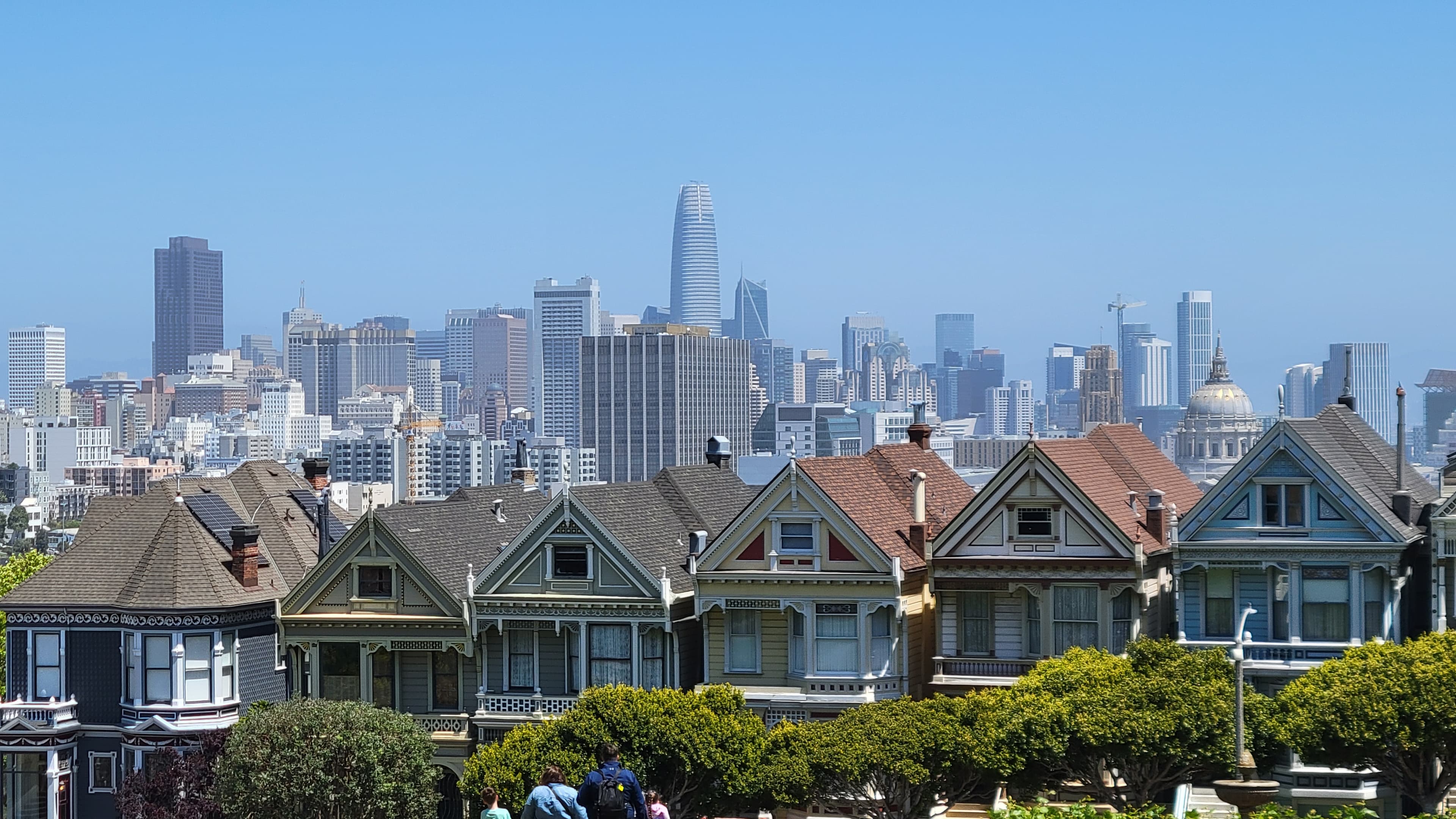 Painted Ladies